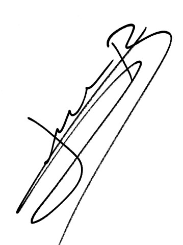 Dron Boris
