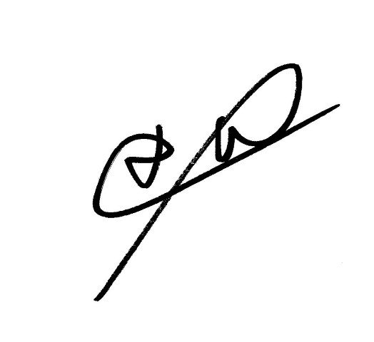 Gestel Dries van