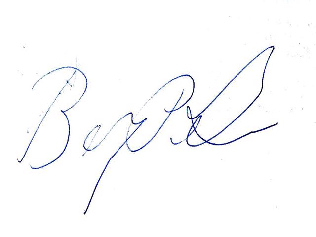 Blaudzun Verner